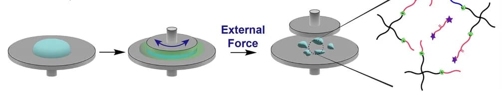 Open access visualization of Workflow, Illustration, Mechano-immolative Hydrogels, Degradation, Shear Rheology