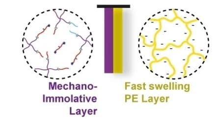 Open access visualization of Illustration, Mechanoimmolative Gel, Soft Robotic Bilayer Element, Fluorescent Polymer, PE Layer
