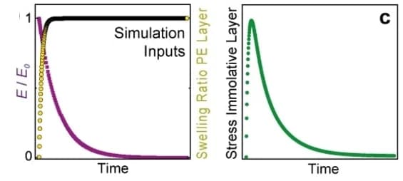 Open access visualization of Line Plot, Finite Element Simulation, Swelling, Elastic Modulus, Mechano-immolative Layer