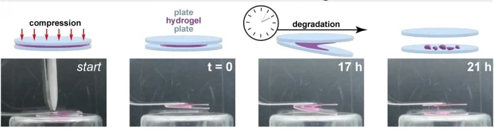 Open access visualization of Workflow, Illustration, Photo, Debonding, Mechano-immolative Gel