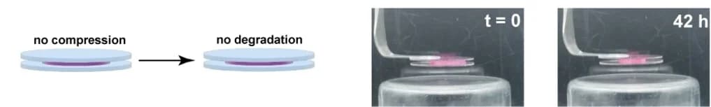 Open access visualization of Workflow, Photo, Control Experiment, Debonding, Mechanical Triggers