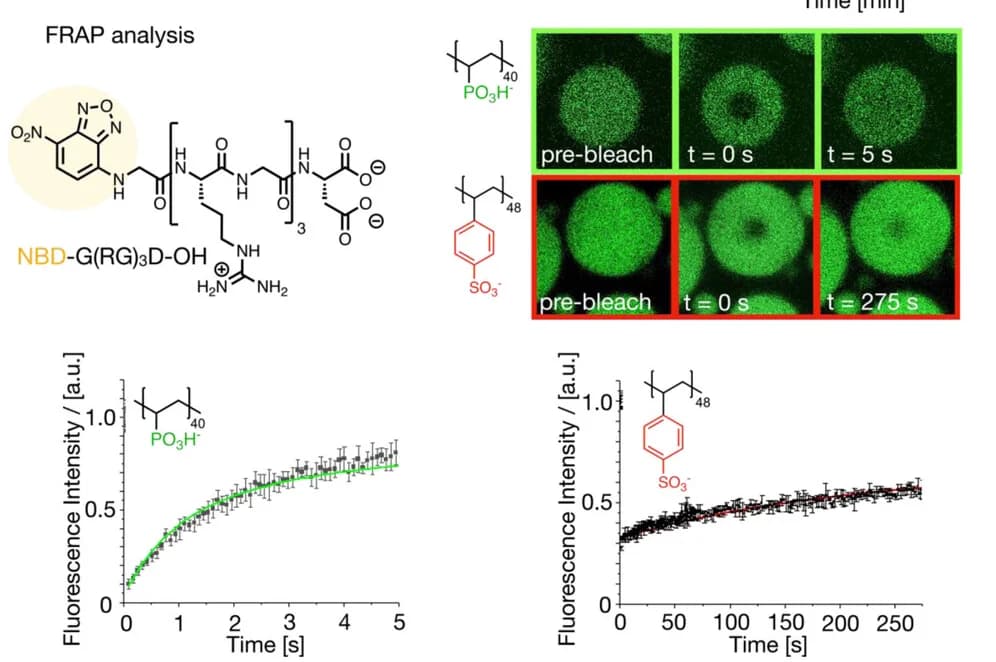 Open access visualization of Line Plot, Error Bars, Microscopy, Chemical Structure, FRAP