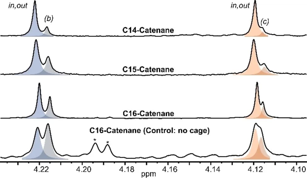 Open access visualization of Line Plot, Density Plot, 1H NMR, Catenanes, Deconvolution