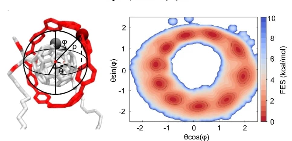Open access visualization of Scatter Plot, Density Plot, Protein Structure, Schematic Representation, Molecular Rotation