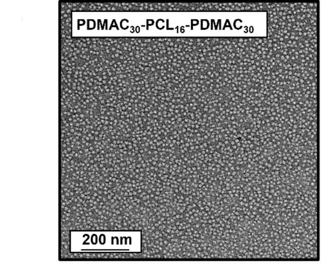 Open access visualization of Microscopy, TEM Image, PDMAC30-PCL16-PDMAC30 Nanoparticles, Aqueous Dispersion