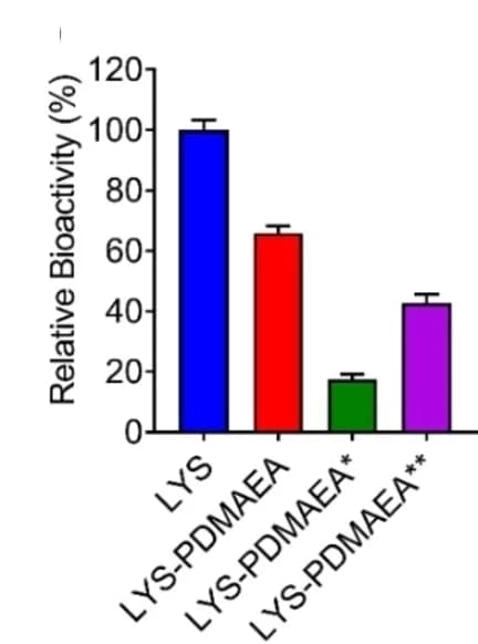Open access visualization of Bar Plot, Error Bars, Enzymatic Activity, Native LYS, LYS-PDMAEA