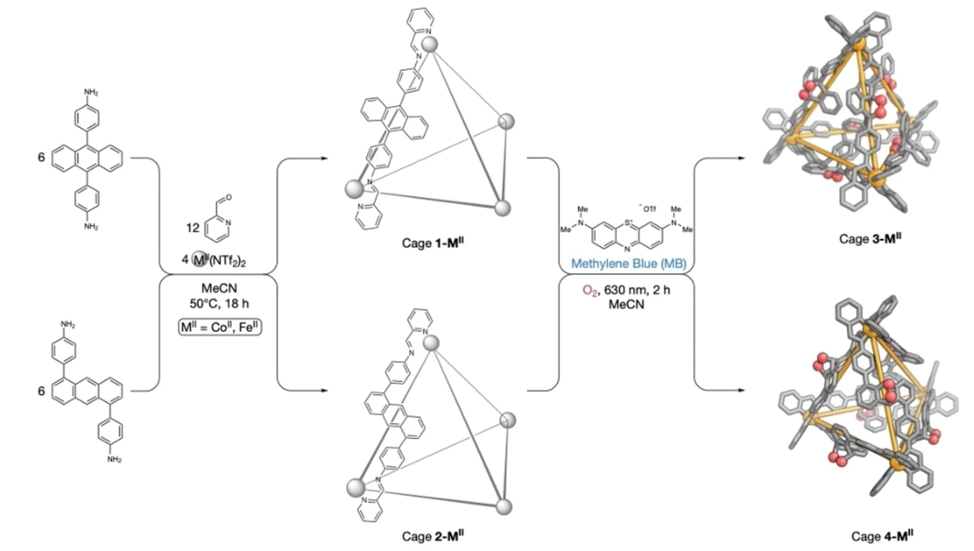 Open access visualization of Workflow, Chemical Structure, Self-Assembly, Cage, Hetero-Diels-Alder Reaction