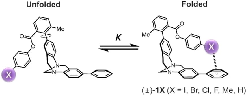 Open access visualization of Chemical Structure, Molecular Torsion Balances, Halogen-Arene Interactions, Van der Waals Contacts, Conformational Equilibrium Constants