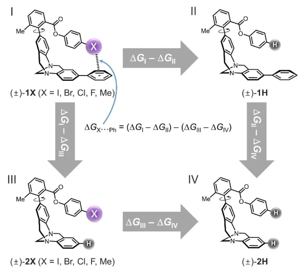 Open access visualization of Workflow, Chemical Structure, Thermodynamic double mutant cycle, X-arene interactions, Conformational preference