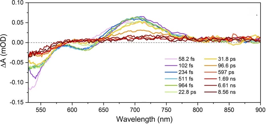 Open access visualization of Line Plot, fs-TA spectra, DNA2[Ag18]12+, NH4OAc aqueous solution