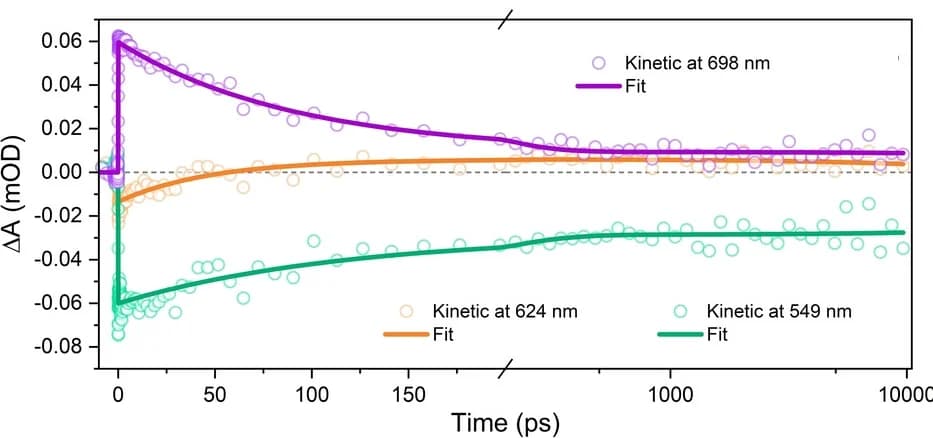 Open access visualization of Line Plot, Scatter Plot, Kinetic traces, fs-TA experiment, bi-exponential fit