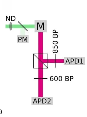 Open access visualization of Flowchart, Workflow, Schematic, Setup, Excitation Intensity
