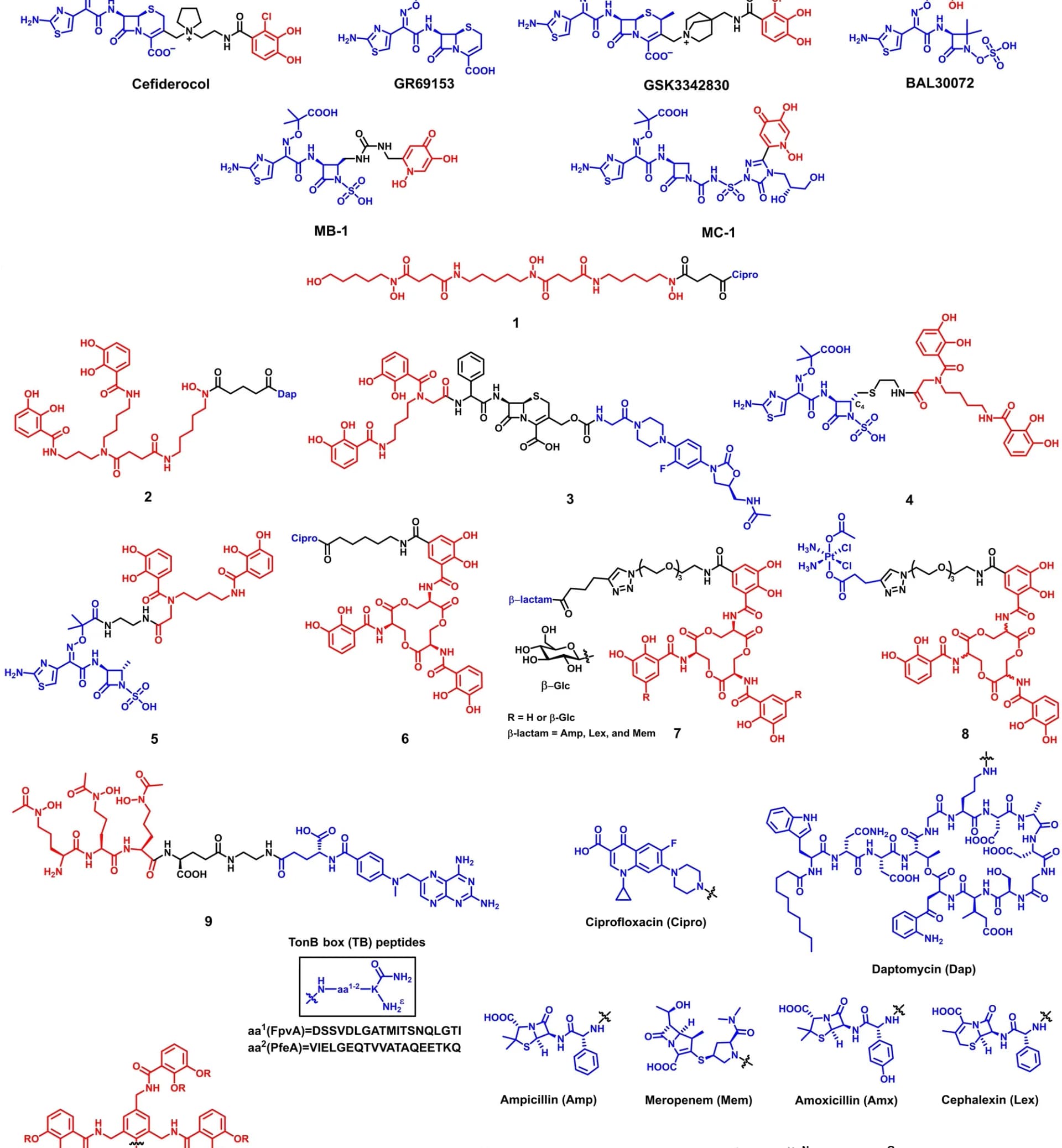 Open access visualization of Chemical Structure, SACs, MDR Bacteria, Siderophores, Linkers
