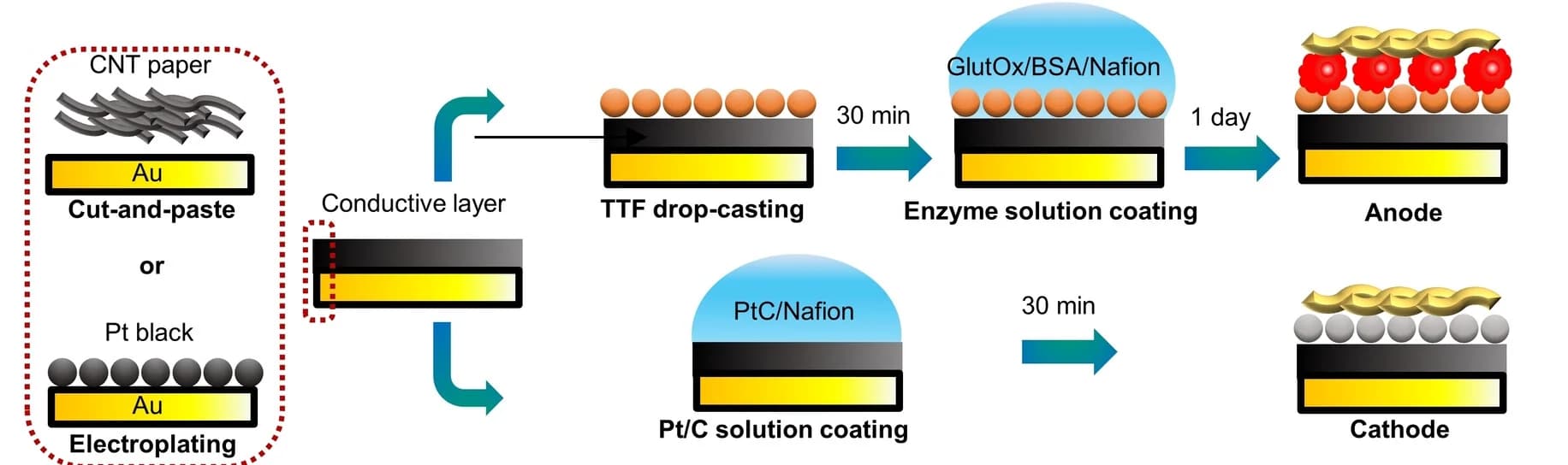 Open access visualization of Workflow, Illustration, Anode, Cathode, Functionalization