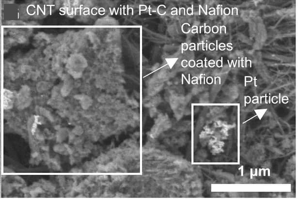 Open access visualization of Microscopy, SEM, Cathode, CNT, Carbon Nanotube