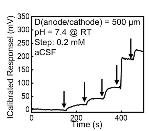 Open access visualization of Line Plot, Line Step, Glutamate Probe, aCSF, Glutamate Concentration