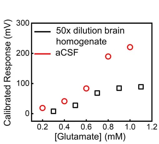 Open access visualization of Scatter Plot, Glutamate Probe, Brain Homogenate, aCSF, Calibration Curves