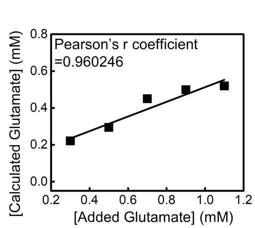 Open access visualization of Scatter Plot, Regression Plot, Pearson's R, Glutamate Concentration, Brain Homogenate