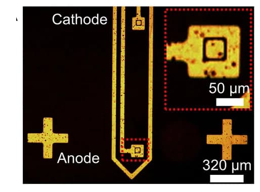 Open access visualization of Microscopy, Probe