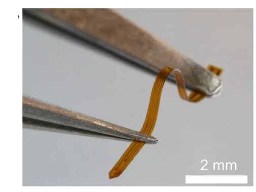 Open access visualization of Photo, Probe, Photograph