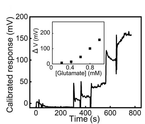 Open access visualization of Line Plot, Scatter Plot, Glutamate Probe, Electric Potential, Calibration Plot