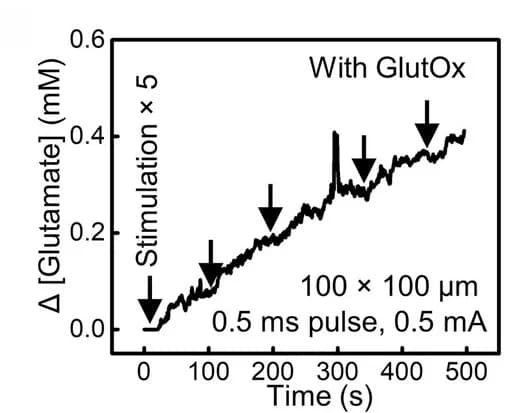 Open access visualization of Line Plot, Glutamate Concentration, Probe, Repeated Pulses, Electrical Stimulation