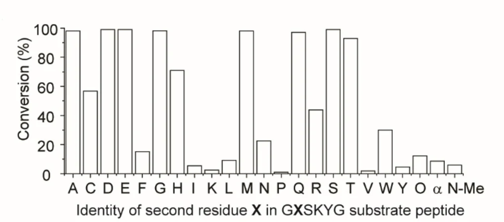 Open access visualization of Bar Plot, Substrate Specificity, Peptide, dAP, HRMS
