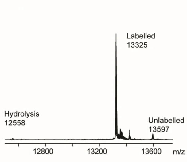 Open access visualization of Line Plot, MS Analysis, CTB, SrtCH7D, Labeling