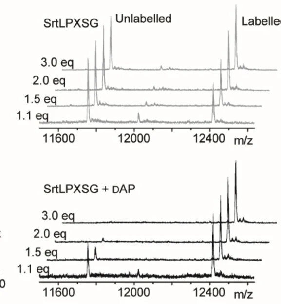 Open access visualization of Line Plot, GVG-CTB, SrtLPXSG, Labeling, dAP