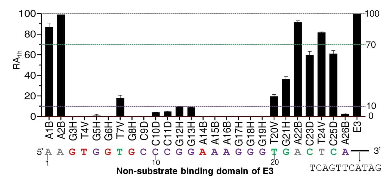 Open access visualization of Bar Plot, Error Bars, Nucleotides, Point-mutation, Cleavage