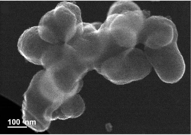 Open access visualization of Microscopy, SEM Images