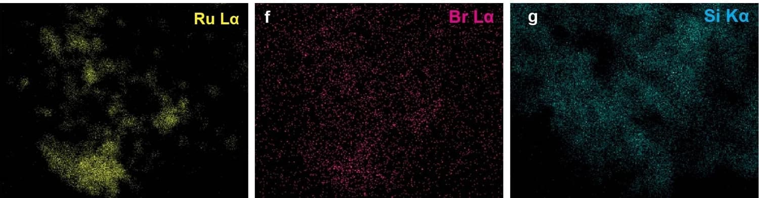 Open access visualization of Microscopy, Ru, EDS Elemental Mapping