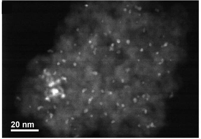 Open access visualization of Microscopy, HAADF-STEM images, Ru@PGS, Hydrogenation, H2