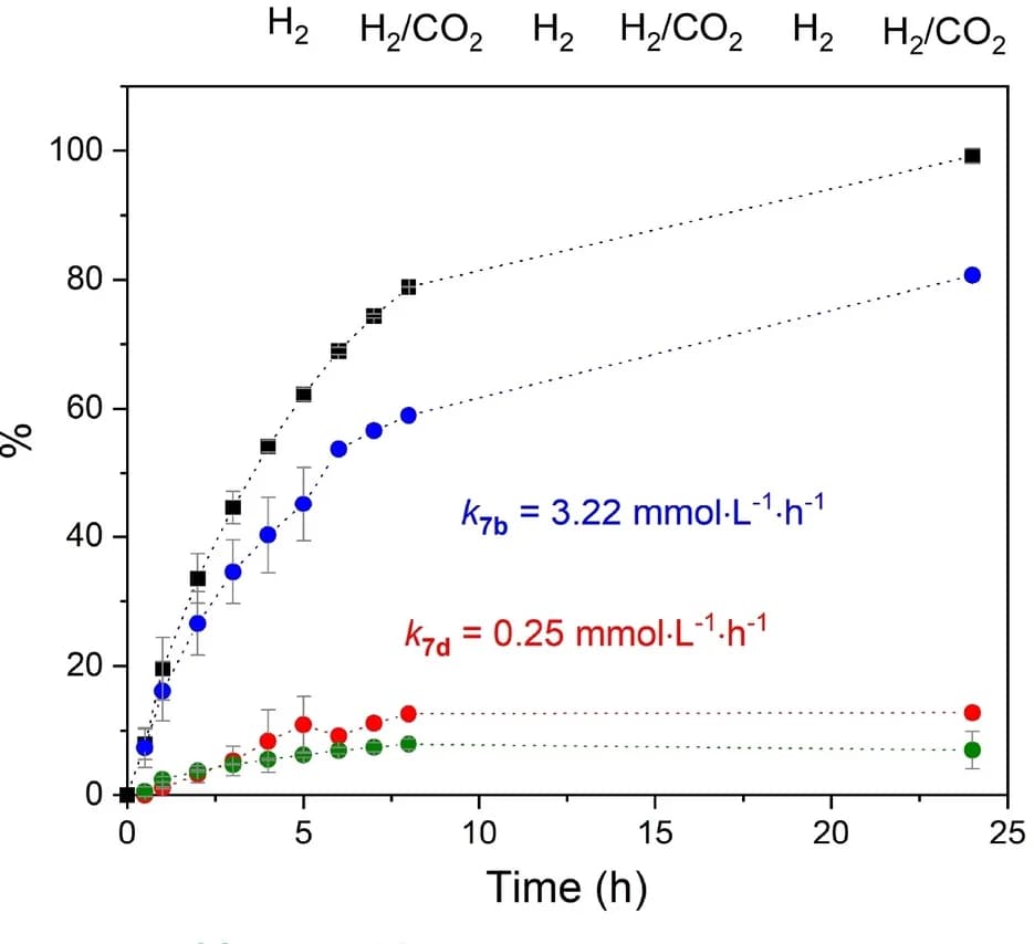 Open access visualization of Line Plot, Error Bars, Time profiles, H2/CO2, Reaction conditions