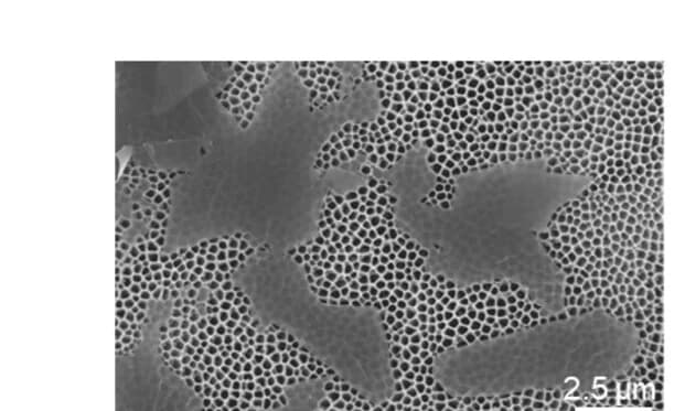 Open access visualization of Microscopy, Scanning Electron Microscopy, SEM Images, MXene Nanosheets