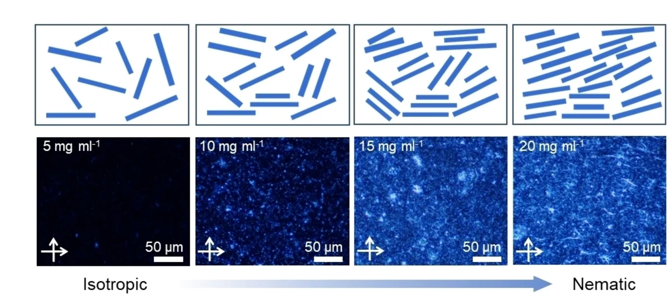 Open access visualization of Microscopy, Polarized Optical Microscopy, POM Images, MXene Dispersions, Nematic State