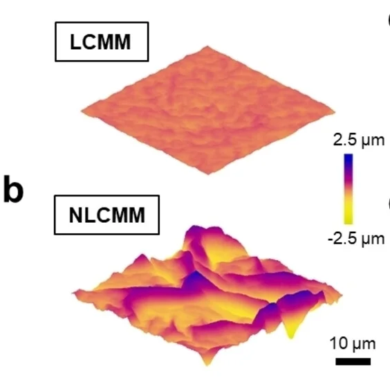 Open access visualization of 3D Plot, AFM Images, LCMM