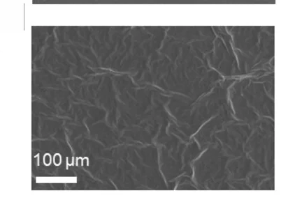Open access visualization of Microscopy, SEM Images, NLCMM