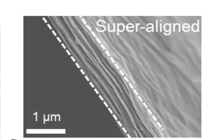 Open access visualization of Microscopy, SEM Images, LCMM