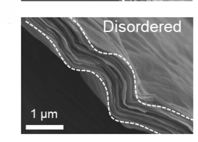 Open access visualization of Microscopy, SEM Images, NLCMM