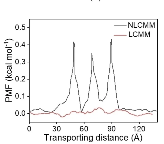 Open access visualization of Line Plot, Potential of Mean Force, Hydrated Ions, LCMM, NLCMM