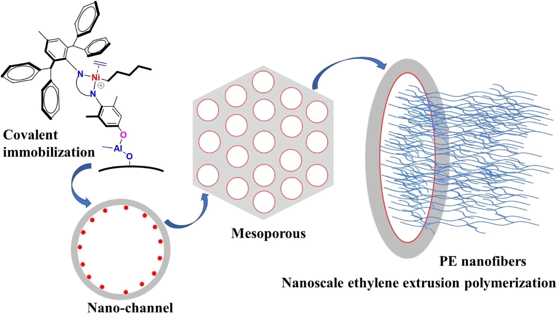 Open access visualization of Workflow, Chemical Structure, Illustration, Ethylene Polymerization, Nano-channels