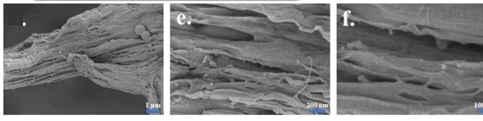 Open access visualization of Microscopy, Magnifications