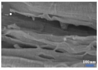 Open access visualization of Microscopy, Magnifications