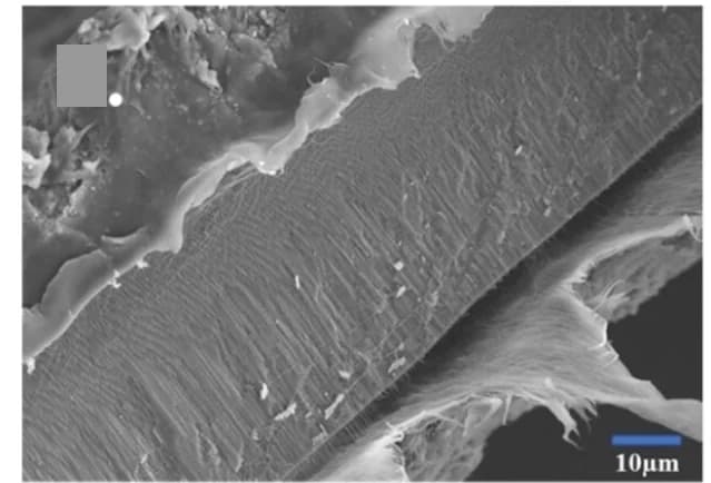 Open access visualization of Microscopy, SEM Image, PE-AAO, Cross Section, Ni@AAO