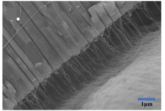 Open access visualization of Microscopy, Magnification, Cross Section, PE-AAO