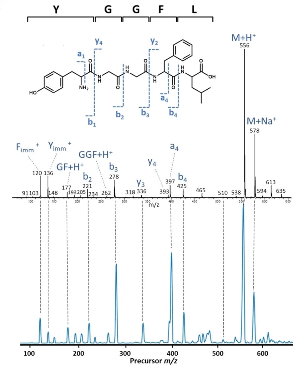 Open access visualization of Line Plot, Mass Spectrum, IS-CID, Thermo LTQ, Ion Trap Mass Spectrometer