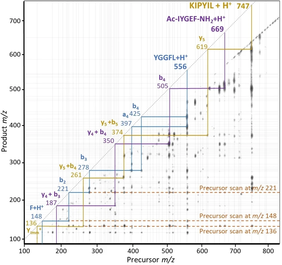 Open access visualization of Scatter Plot, MS/MS Spectrum, Peptides, Ion Signal