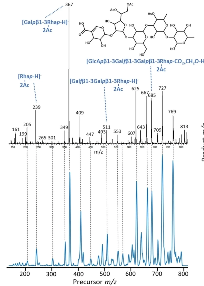 Open access visualization of Line Plot, Mass Spectrum, PnP 31, IS-CID, Thermo LTQ mass spectrometer