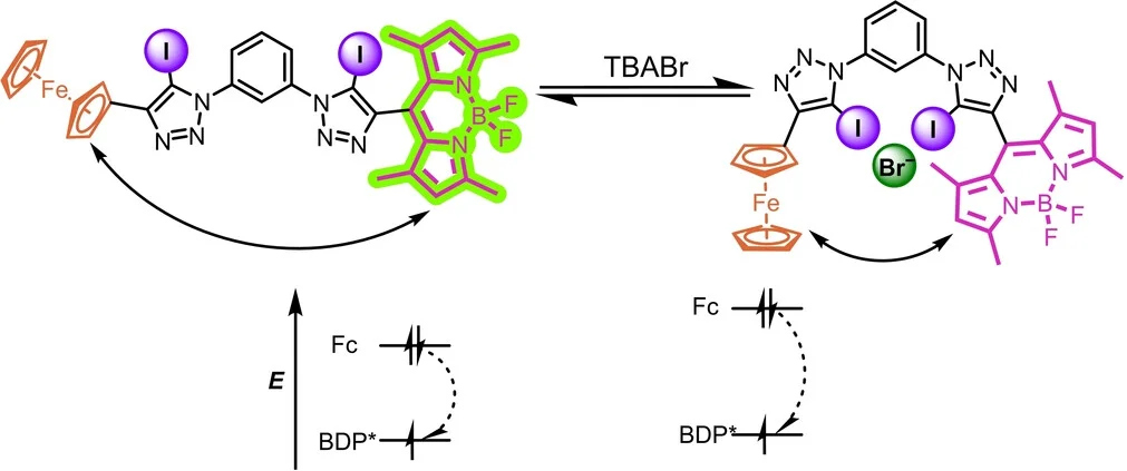 Open access visualization of Chemical Structure, Workflow, PET, Anion Binding, Receptor